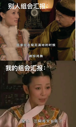 网络梗图对比“别人组会汇报”的优雅与“我的组会汇报”的朴实