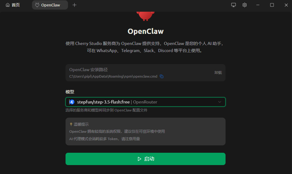 OpenClaw安装完成后的配置与启动界面