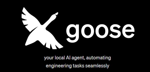 Goose品牌Logo及宣传语，左侧为白色飞鸟剪影，右侧为'goose your local AI agent'文字