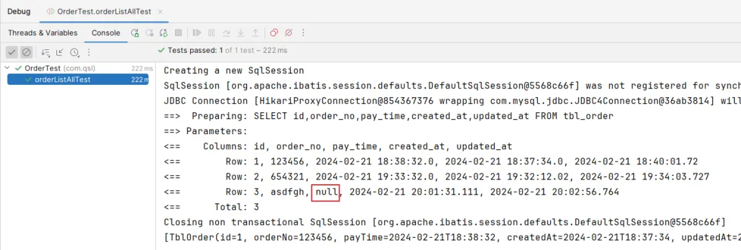 测试通过截图：成功查询包含null支付时间的三条数据