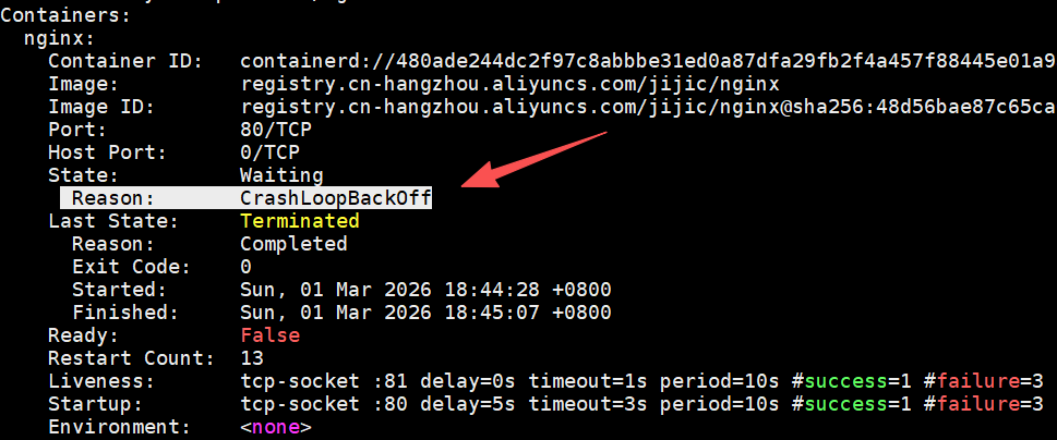 describe pod 输出，显示容器状态为CrashLoopBackOff