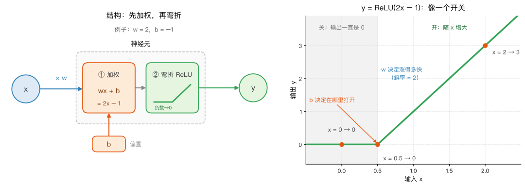 单输入神经元结构:输入乘以权重、加上偏置,再经过ReLU弯折;w=2、b=-1时像在x=0.5处打开的开关