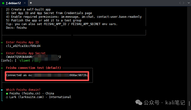 选择飞书域名为中国版