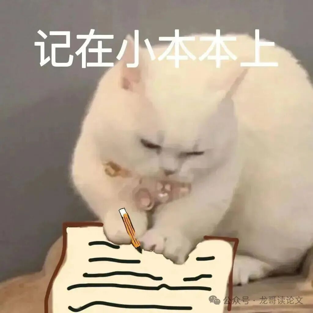 一只猫在笔记本上做记录的卡通图