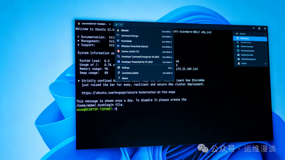 Windows Terminal终端界面截图