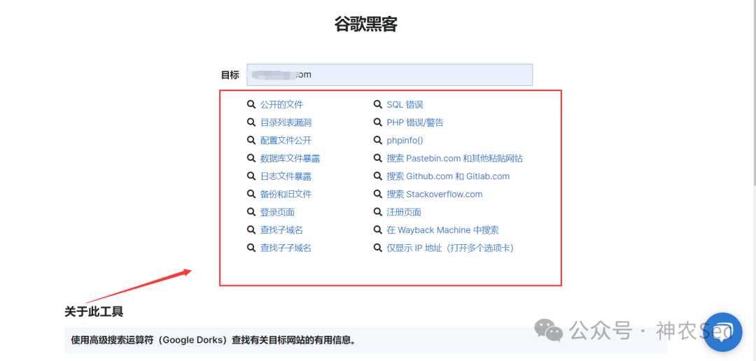 Pentest-Tools Google黑客功能界面