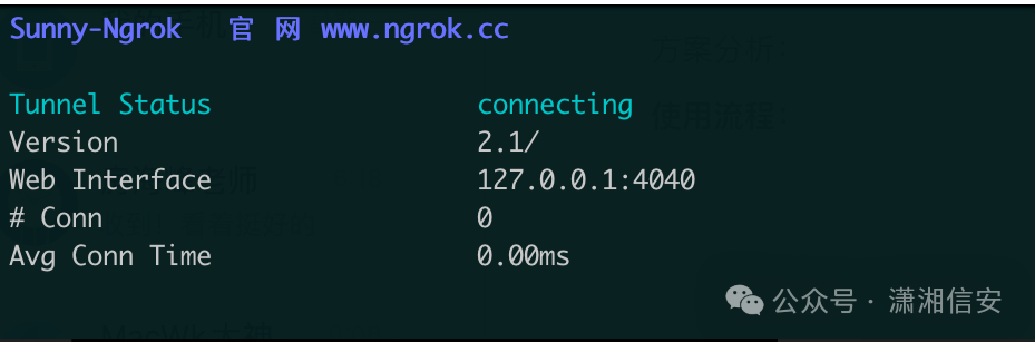 Sunny-Ngrok客户端运行状态