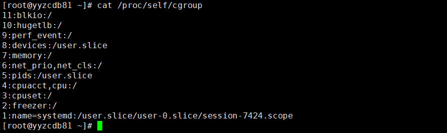宿主机cgroup文件内容