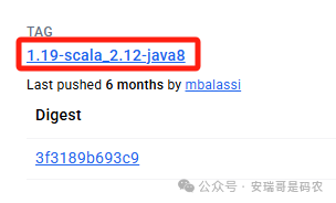 Docker Hub上Flink 1.19版本镜像