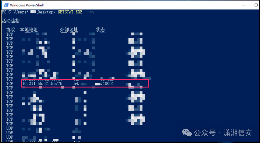 netstat显示连接至Ngrok服务器IP
