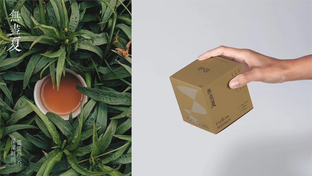 拾山无尽夏系列视觉图