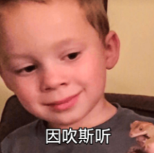 表情包：因吹斯听