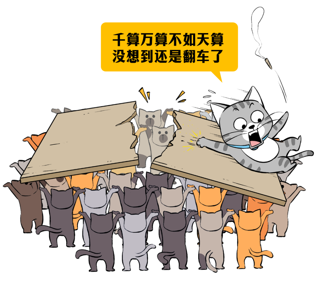 卡通漫画：猫被弹飞，配文“千算万算不如天算”