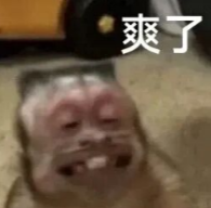 爽了表情包