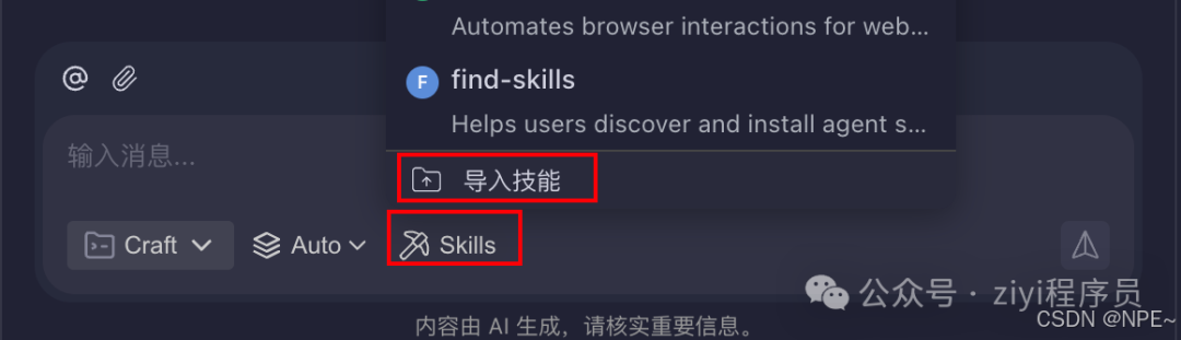CodeBuddy 导入技能按钮