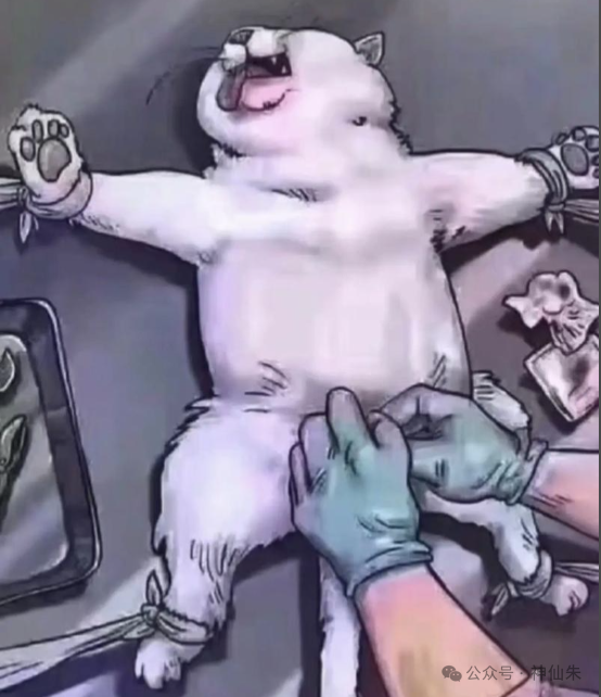 卡通图：资源受限的嵌入式系统概念示意图