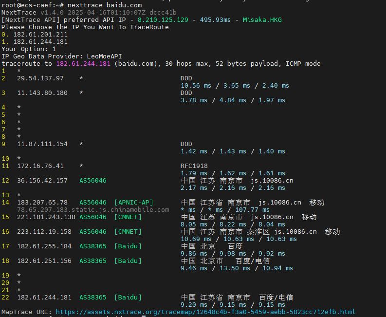 NextTrace 在 Linux 下的详细追踪结果