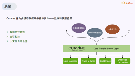Curvine作为数据转换服务层的展望图