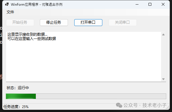 程序运行界面示例