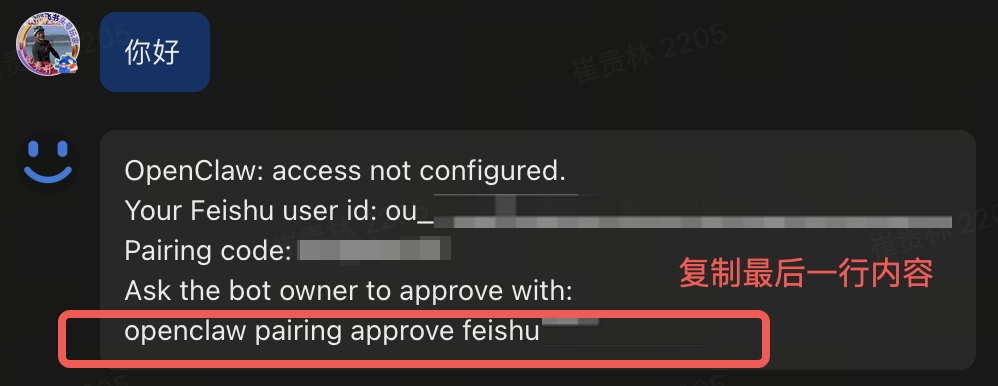 飞书聊天窗口，收到 OpenClaw 的配对提示消息