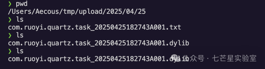 服务器上确认文件已从.txt重命名为.dylib
