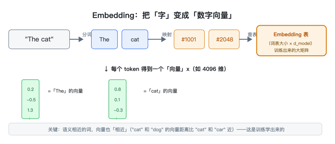 Embedding:把"字"变成"数字向量"