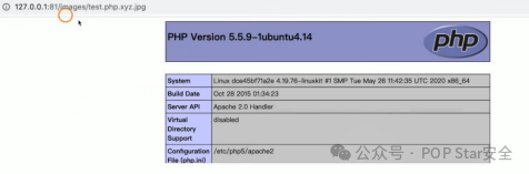 成功解析 PHP 文件后的 phpinfo 页面