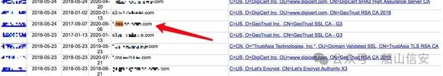 SSL证书查询结果截图，显示多个域名及证书信息
