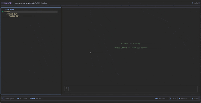 lazypg 主界面浏览功能演示