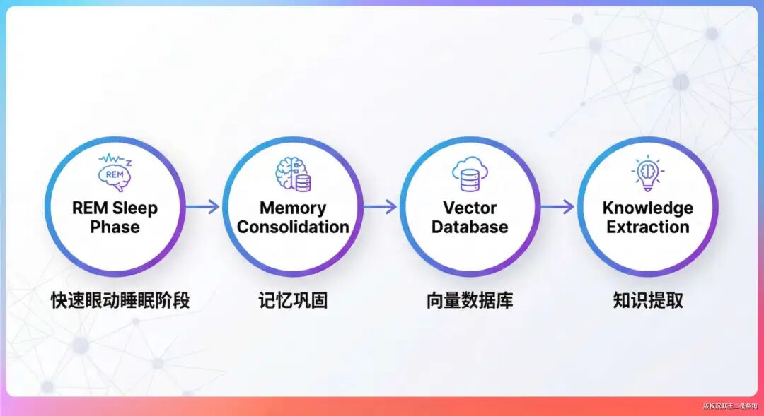 梦境记忆系统四阶段示意图：REM睡眠、记忆巩固、向量数据库、知识提取