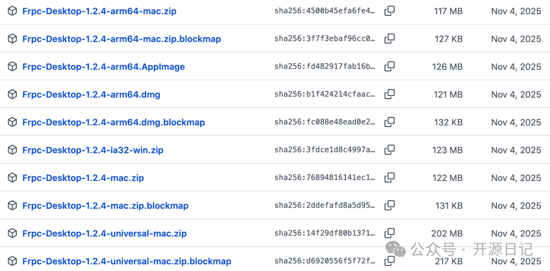 Frpc Desktop v1.2.4 多平台发布文件列表