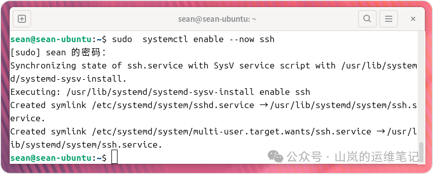 执行sudo systemctl enable --now ssh命令，启用并启动SSH服务