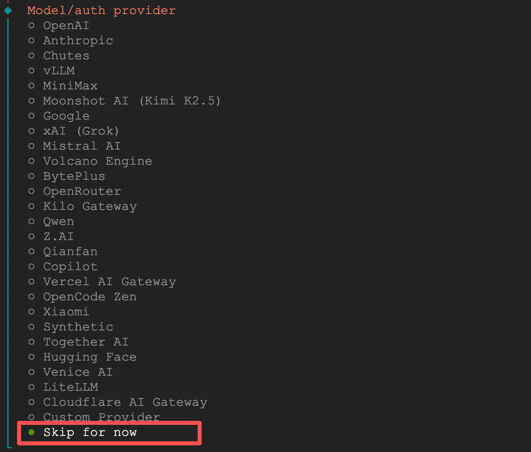 选择跳过模型供应商配置