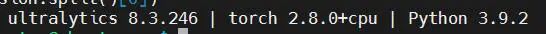 Ultralytics、Torch和Python版本信息