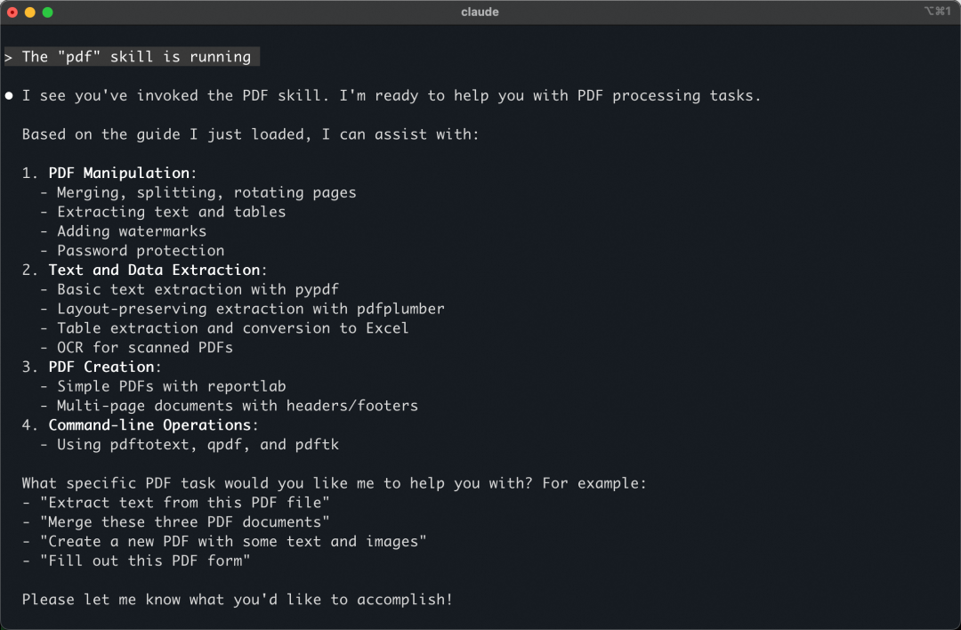 PDF Skill 运行界面：支持 PDF 操作、文本提取、OCR、命令行工具等