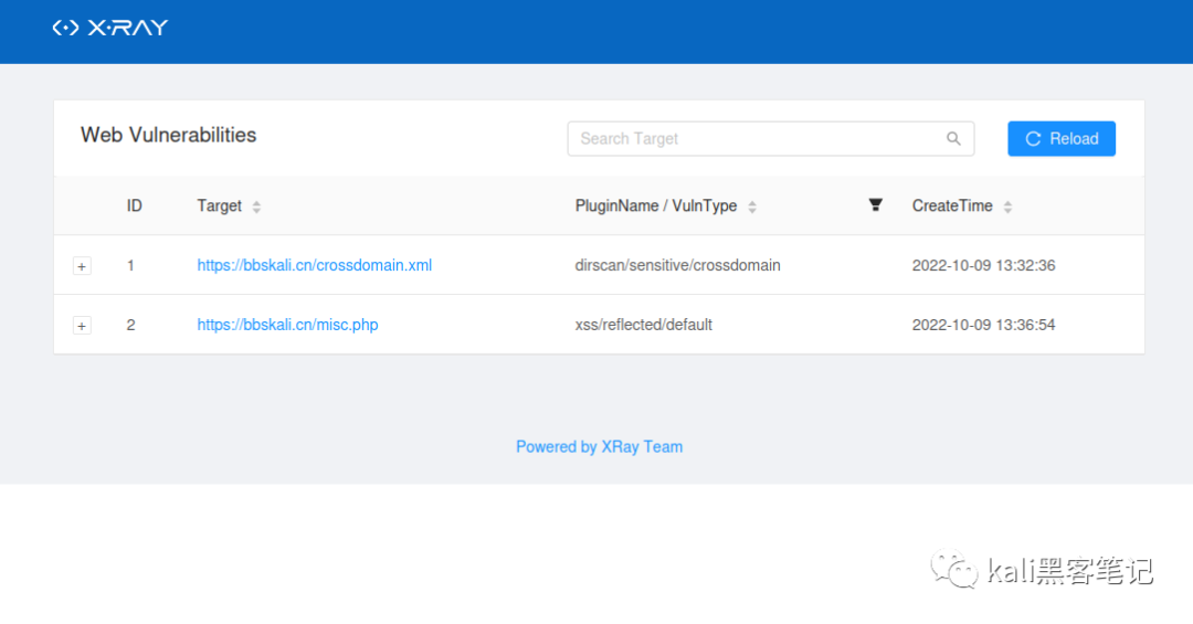 xray Web 漏洞扫描结果报告
