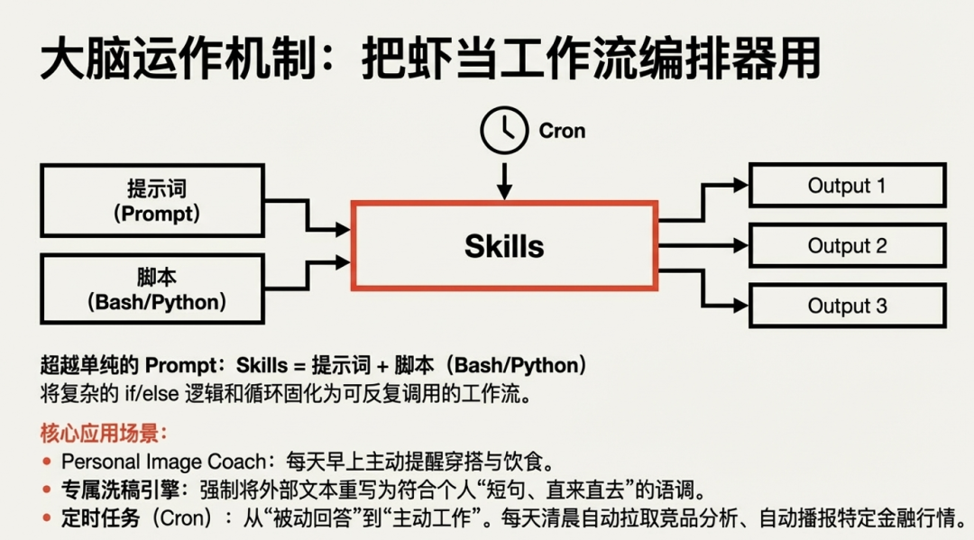 大脑运作机制：Skills与定时任务联动