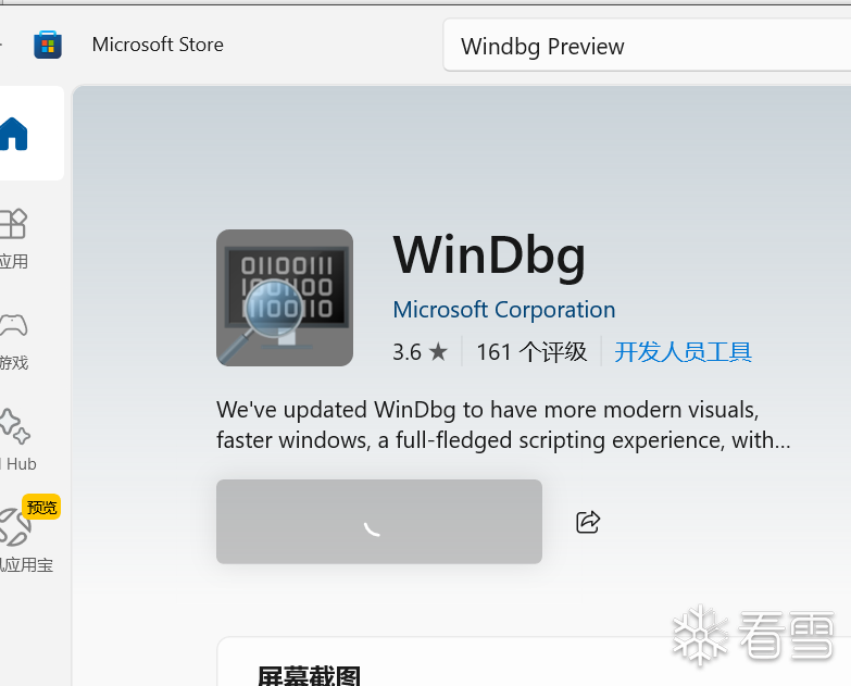 Microsoft Store 中的 WinDbg 应用