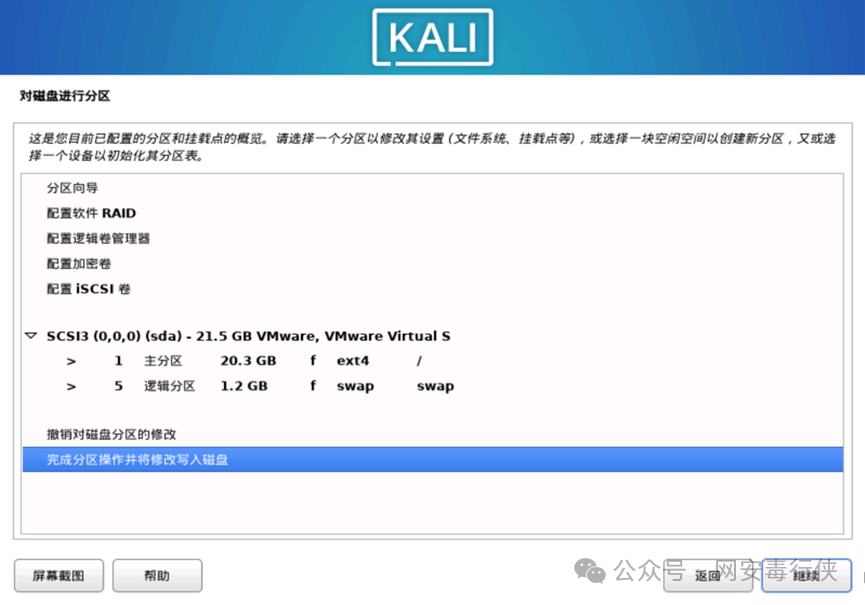 Kali Linux 分区概览与确认