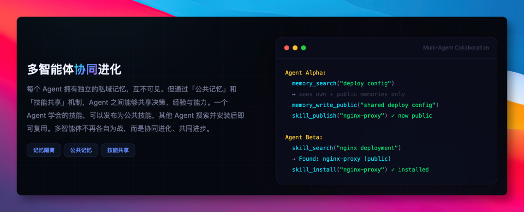 多智能体协同进化示意图