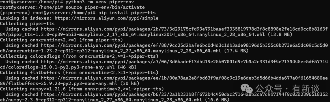 虚拟环境安装piper