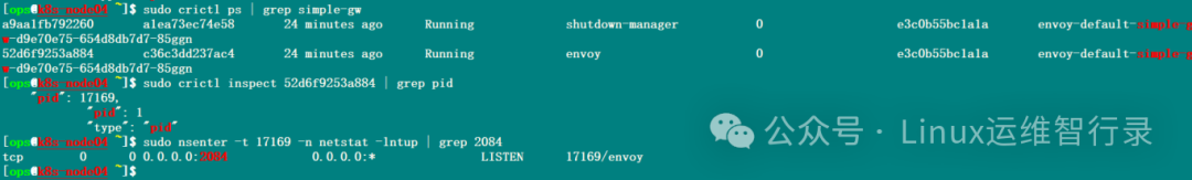 终端验证 Envoy 监听端口