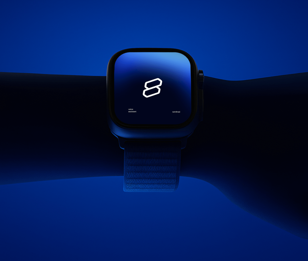 Sandra AI语音助手与官网着陆页