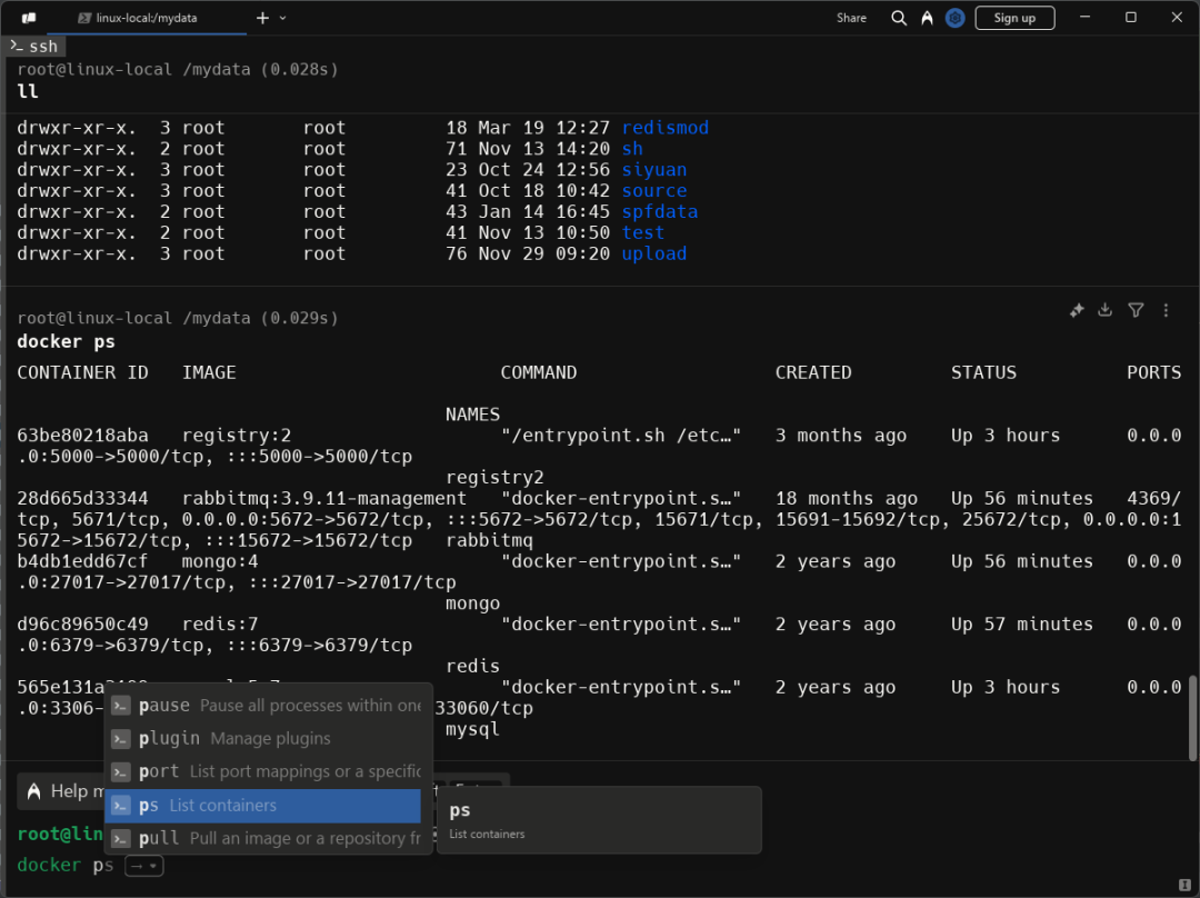 Warp终端界面运行效果图