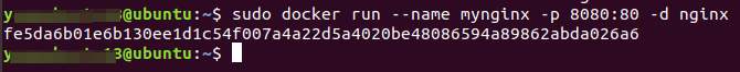 Docker 运行 mynginx 容器的终端输出及容器 ID