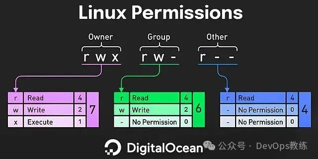 Linux 文件权限设置图示