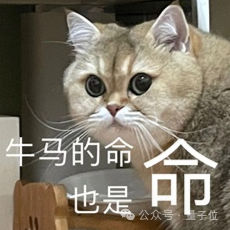一只金色短毛猫配文‘牛马的命也是命’的网络表情包