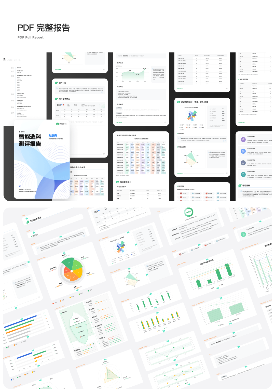 智能选科测评报告(PDF)