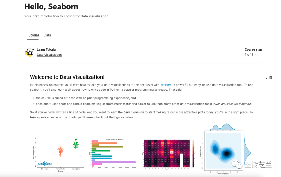 Seaborn数据可视化课程介绍与示例图