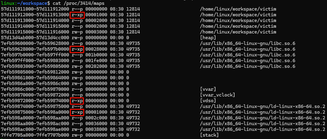 目标进程 /proc/pid/maps 显示无 RWX 共存区域